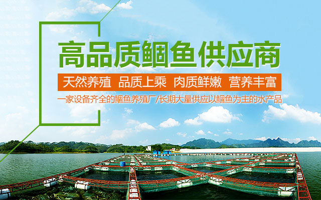 醴陵市鲴鱼良种场-湖南鱼苗|常德鲴鱼养殖|醴陵市鱼类
