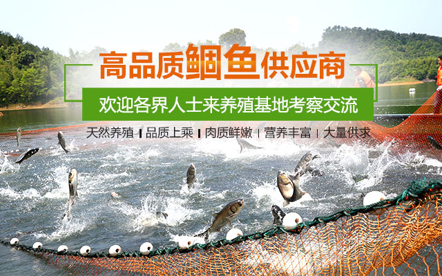 醴陵市鲴鱼良种场-湖南鱼苗|常德鲴鱼养殖|醴陵市鱼类