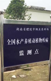 荣誉资质
