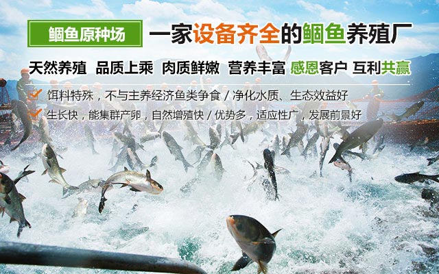 醴陵市鲴鱼良种场-湖南鱼苗|常德鲴鱼养殖|醴陵市鱼类